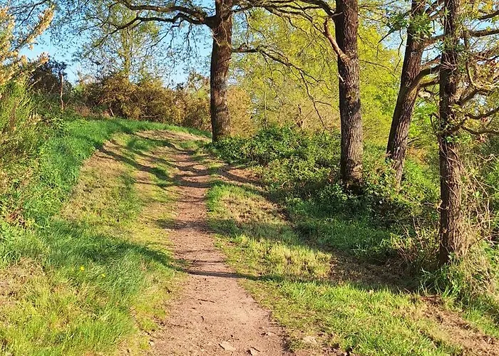 Chez Dominique Et Bruno A 20 Mm Du Puydufou